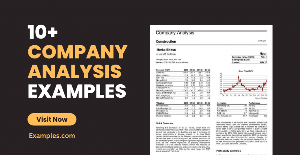 Company Analysis Examples