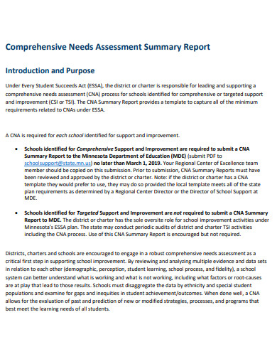 comprehensive needs assessment summary report