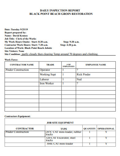 daily inspection report example