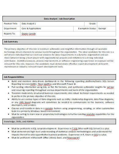 Data Analyst Job Description in DOC