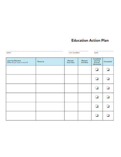 education action plan format