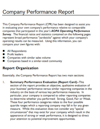 individual company performance report