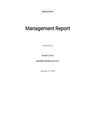 monthly financial management report template
