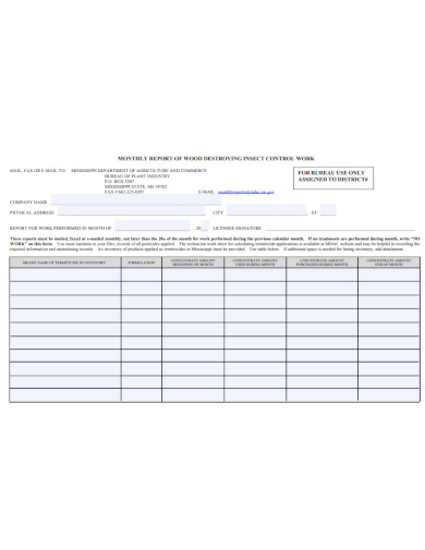 monthly work report template
