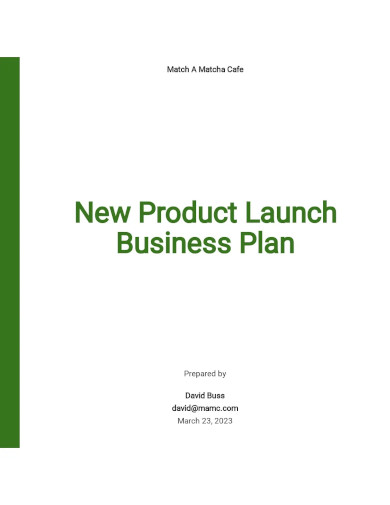 New Product Launch Business Plan Template