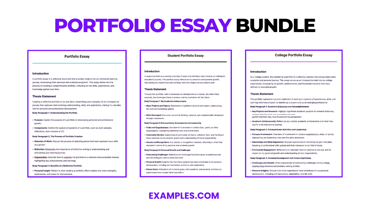 Portfolio Essay - 13+ Examples, Format, Pdf