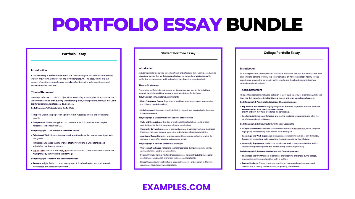 student portfolio essay examples