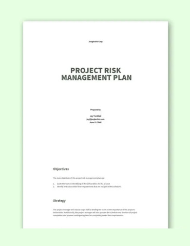 project risk management plan templates