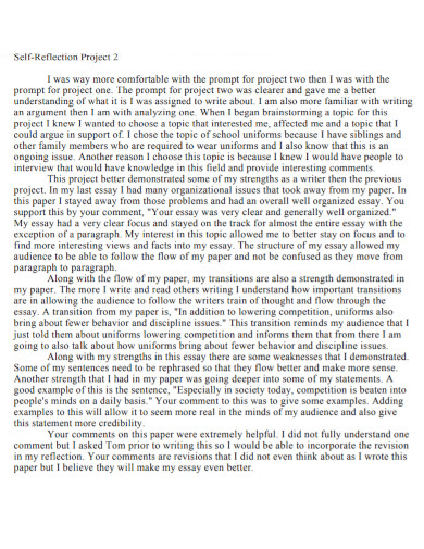 Project Self Reflection Essay