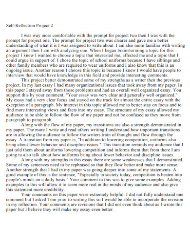 project self reflection essay