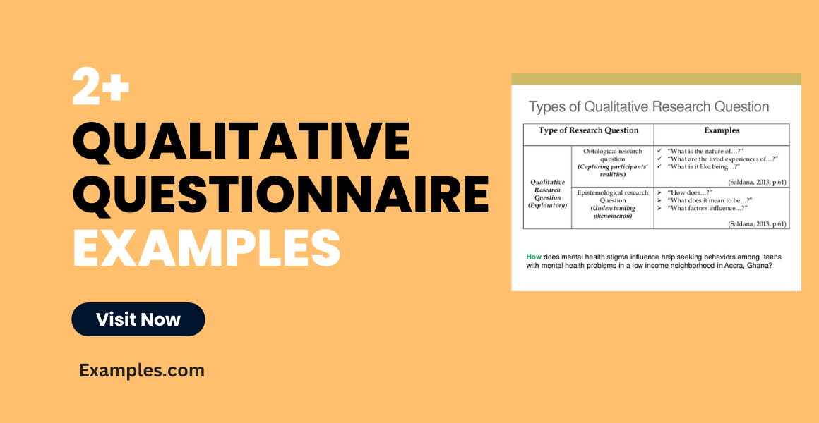questionnaire in qualitative research example