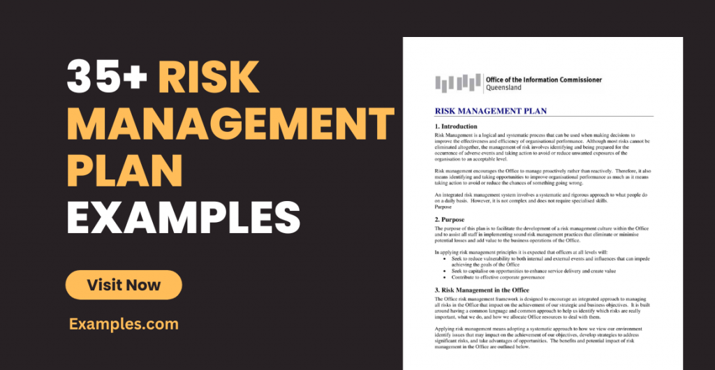 Risk Management Plan Examples
