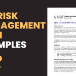 Risk Management Plan Examples