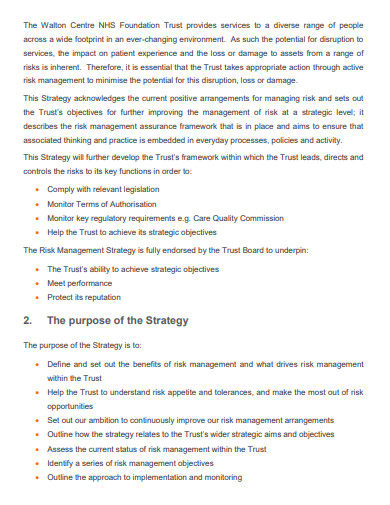 Risk Management Strategy in PDF