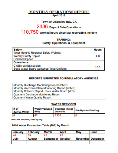 operations management report sample
