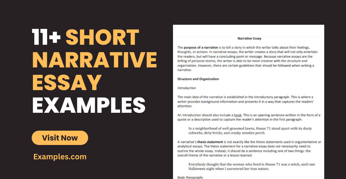short narrative essay exampless