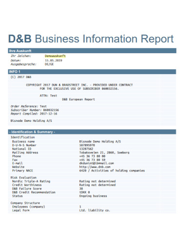 standard business information report