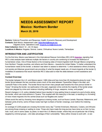 standard needs assessment report