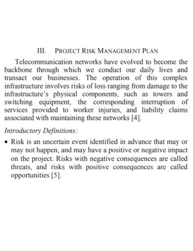 telecommunication project risk management plan