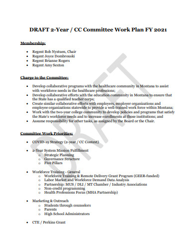 two year committee work plan