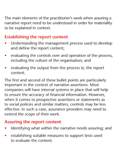 business narrative audit report