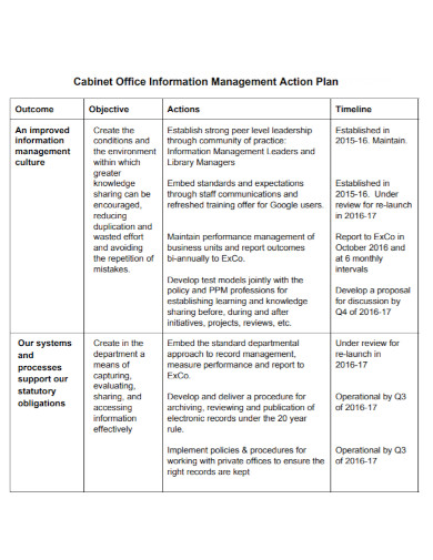 cabinet office action plan