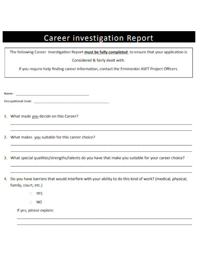 career investigation report template