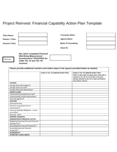 financial capability action plan