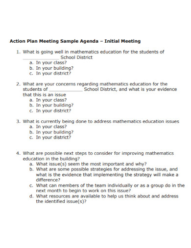 initial meeting action plan