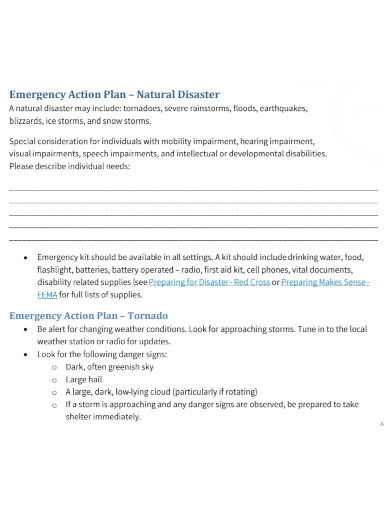 natural disaster action plan