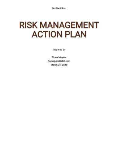 risk management action plan template1