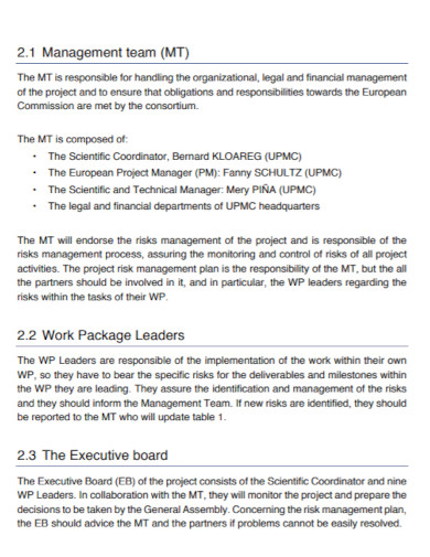 risk management action plan in pdf