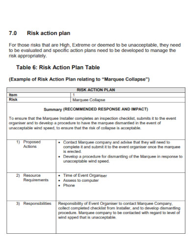 risk summary action plan