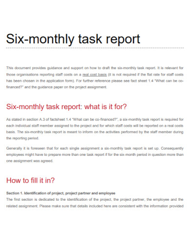 six monthly task report
