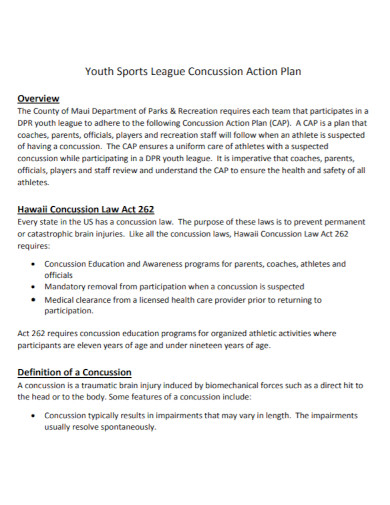 Sports League Action Plan