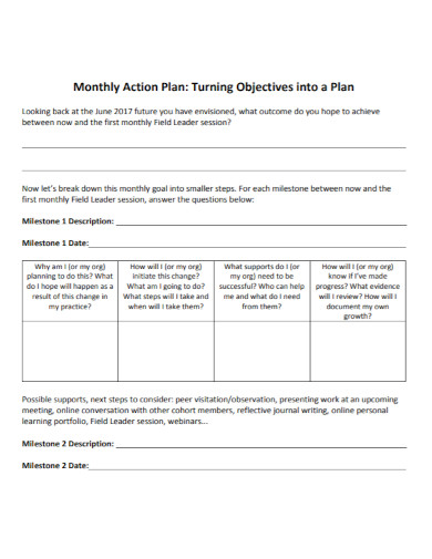 standard monthly action plan