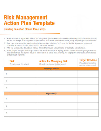 standard risk management action plan