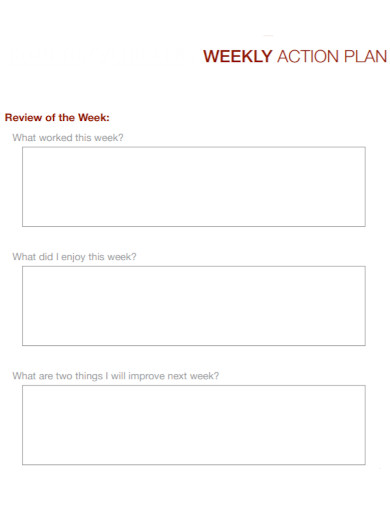 weekly review action plan