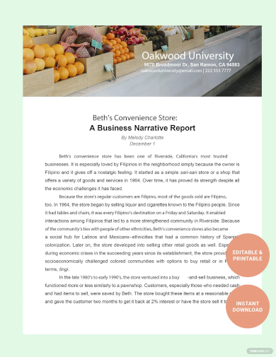 business narrative report template