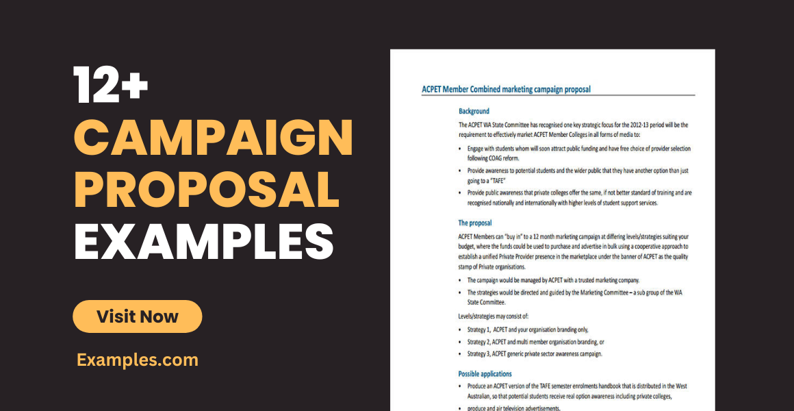 campaign proposal examples
