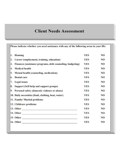Draft Client Needs Assessment