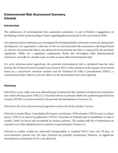 environmental risk assessment summary