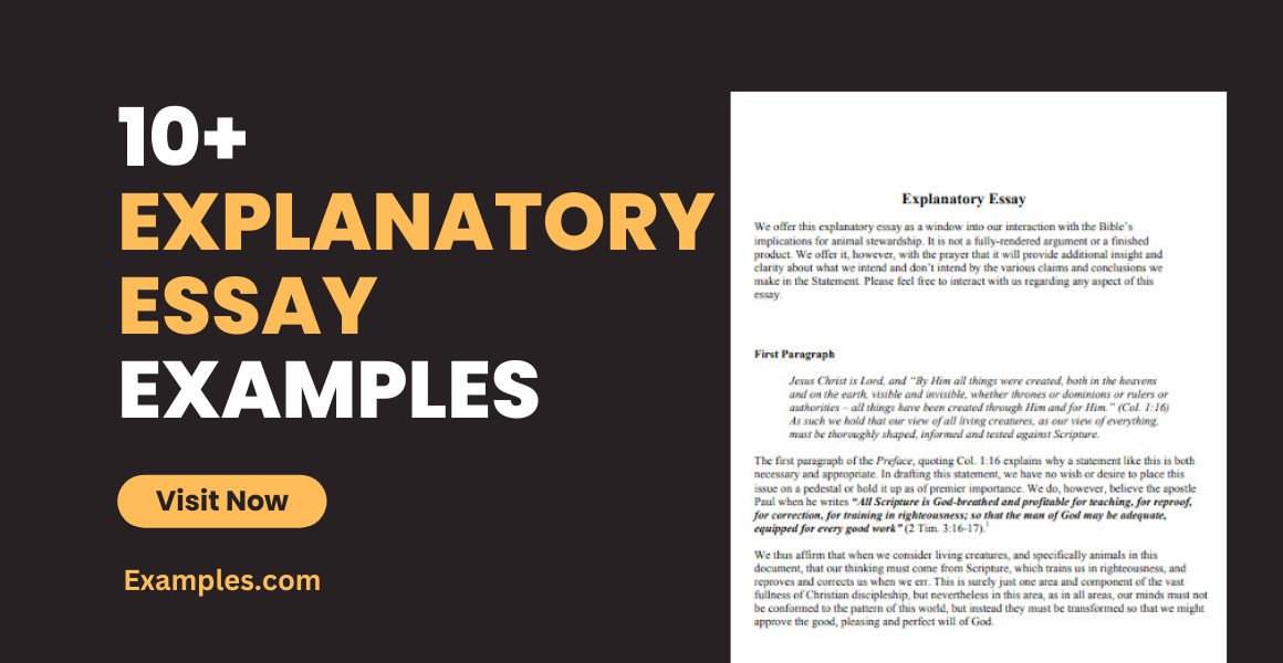 explanatory essay format pdf