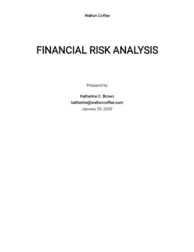 financial risk assessment template