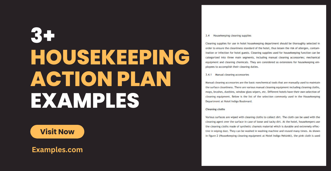 housekeeping action plan examples