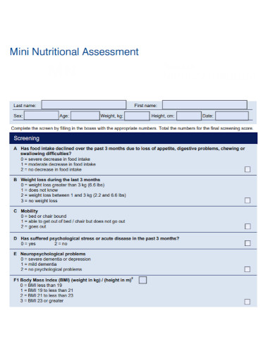 mini nutritional assessment