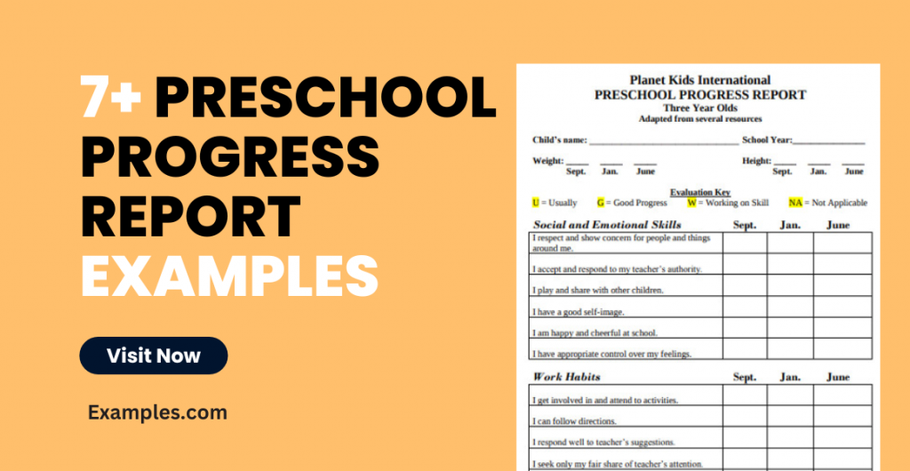 Preschool Progress Report Examples
