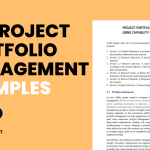 Project Portfolio Management Examples