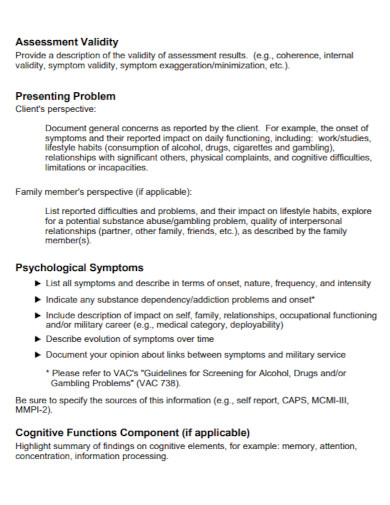 Psychological Assessment Report