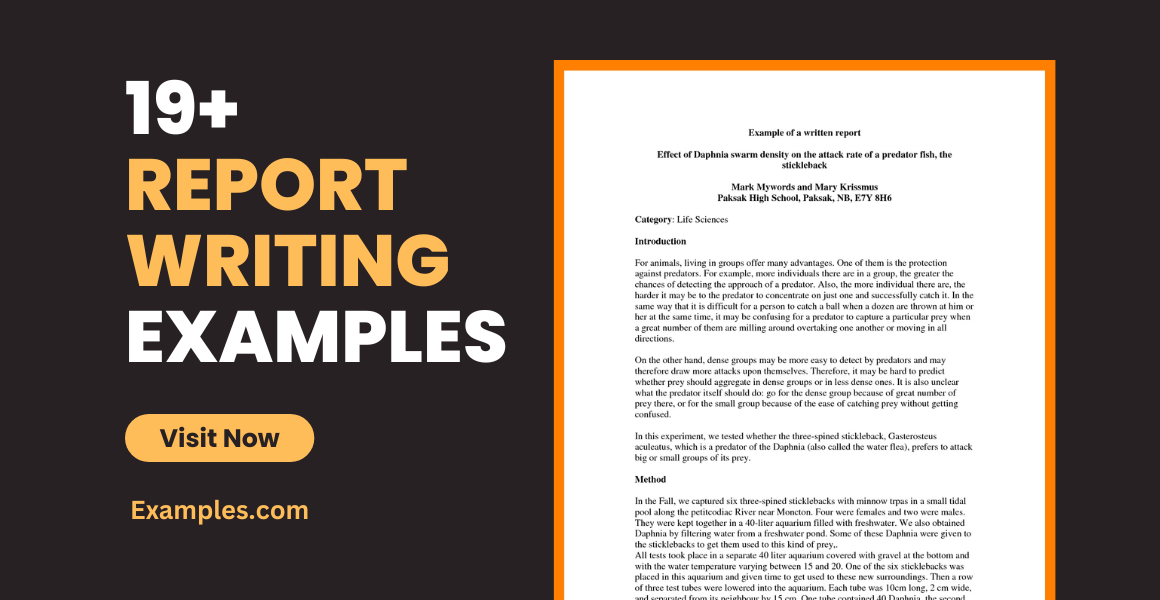 report writing examples